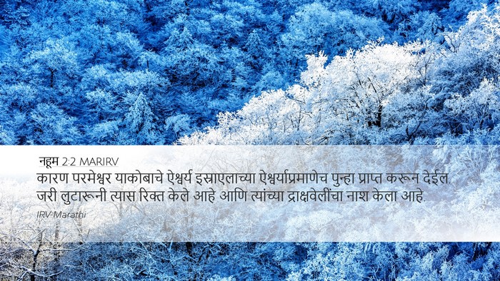 नहूम 2:2 MARIRV Bible Verse Image