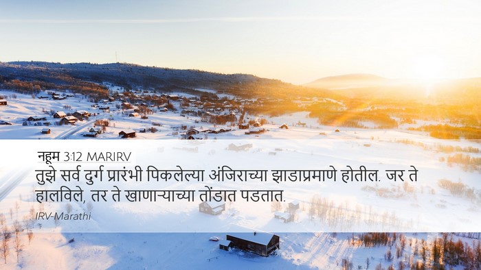 नहूम 3:12 MARIRV Bible Verse Image