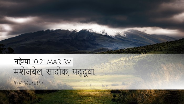 नहेम्या 10:21 MARIRV Desktop Wallpaper - मशेजबेल, सादोक, - Desktop Bible Verse Wallpaper