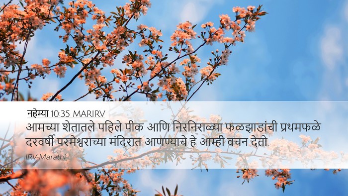 नहेम्या 10:35 MARIRV Bible Verse Image