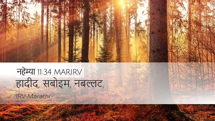 नहेम्या 11:34 MARIRV Bible Verse Image