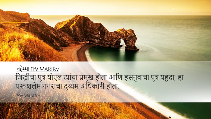 नहेम्या 11:9 MARIRV Desktop Wallpaper - जिख्रीचा पुत्र - Desktop Bible Verse Wallpaper