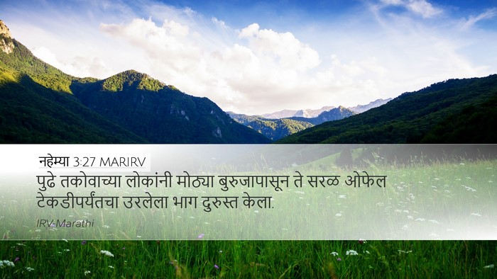 नहेम्या 3:27 MARIRV Bible Verse Image