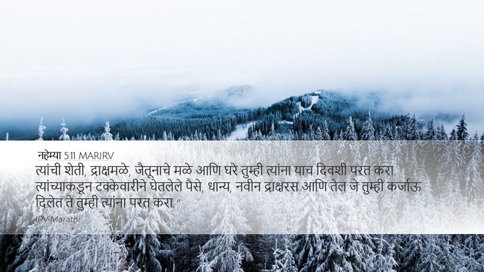 नहेम्या 5:11 MARIRV Desktop Wallpaper - त्यांची शेती, - Desktop Bible Verse Wallpaper