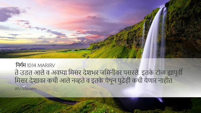 निर्गम 10:14 MARIRV Bible Verse Image
