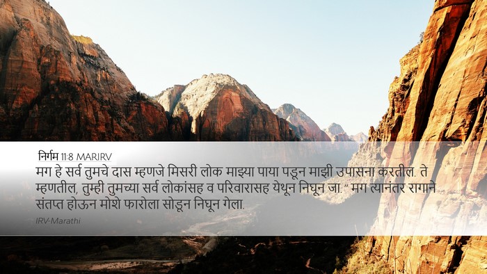 निर्गम 11:8 MARIRV Bible Verse Image