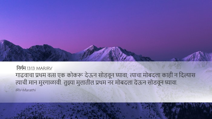 निर्गम 13:13 MARIRV Bible Verse Image