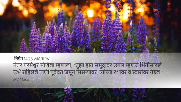 निर्गम 14:26 MARIRV Bible Verse Image