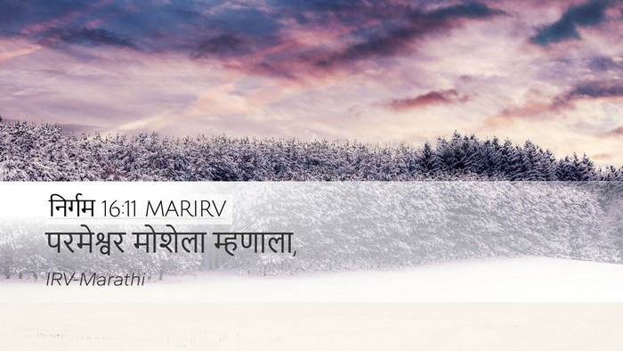 निर्गम 16:11 MARIRV Desktop Wallpaper - परमेश्वर मोशेला - Desktop Bible Verse Wallpaper