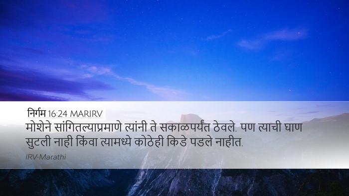 निर्गम 16:24 MARIRV Desktop Wallpaper - मोशेने - Desktop Bible Verse Wallpaper
