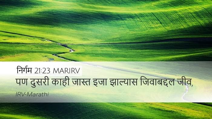 निर्गम 21:23 MARIRV Bible Verse Image