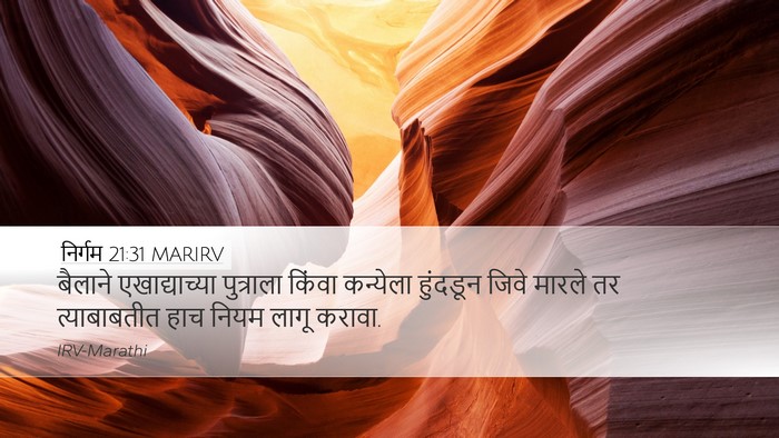 निर्गम 21:31 MARIRV Desktop Wallpaper - बैलाने - Desktop Bible Verse Wallpaper