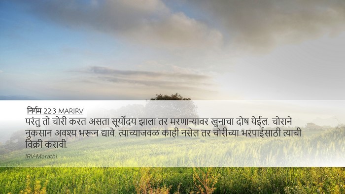 निर्गम 22:3 MARIRV Bible Verse Image