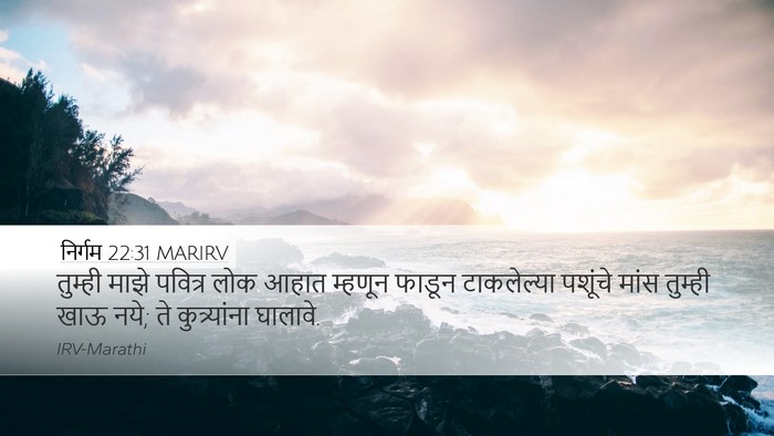 निर्गम 22:31 MARIRV Bible Verse Image