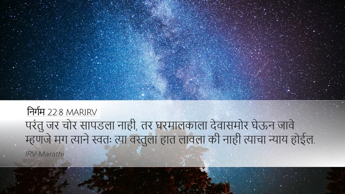 निर्गम 22:8 MARIRV Bible Verse Image