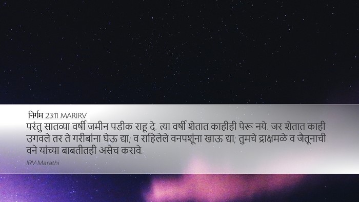 निर्गम 23:11 MARIRV Bible Verse Image