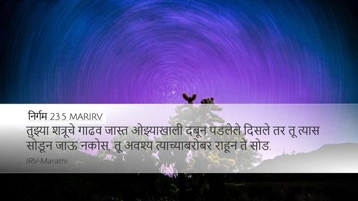 निर्गम 23:5 MARIRV Bible Verse Image