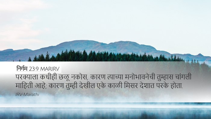 निर्गम 23:9 MARIRV Bible Verse Image