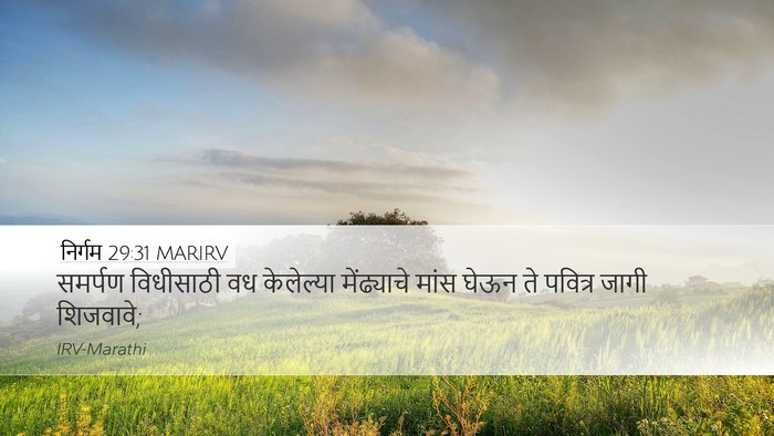 निर्गम 29:31 MARIRV Bible Verse Image