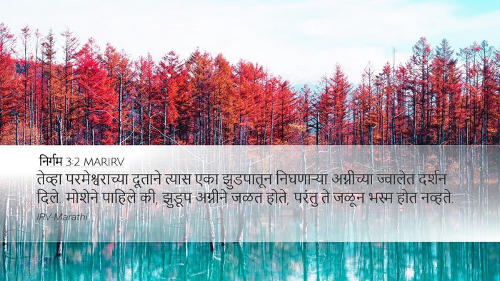 निर्गम 3:2 MARIRV Bible Verse Image