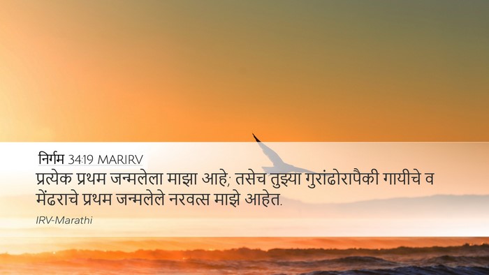 निर्गम 34:19 MARIRV Bible Verse Image
