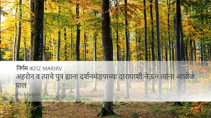 निर्गम 40:12 MARIRV Bible Verse Image