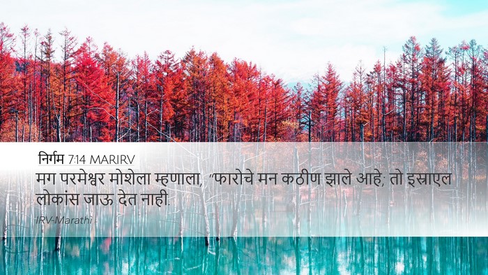 निर्गम 7:14 MARIRV Bible Verse Image