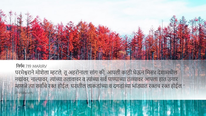 निर्गम 7:19 MARIRV Bible Verse Image