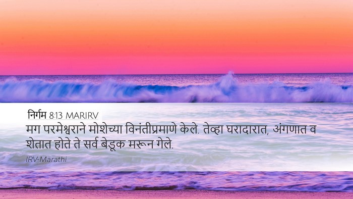 निर्गम 8:13 MARIRV Desktop Wallpaper - मग परमेश्वराने - Desktop Bible Verse Wallpaper