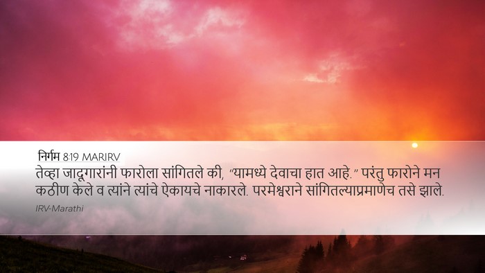 निर्गम 8:19 MARIRV Bible Verse Image