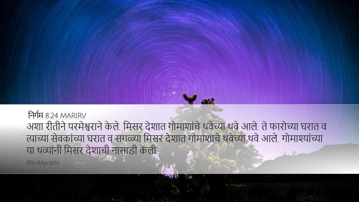 निर्गम 8:24 MARIRV Bible Verse Image