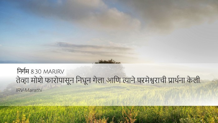 निर्गम 8:30 MARIRV Bible Verse Image
