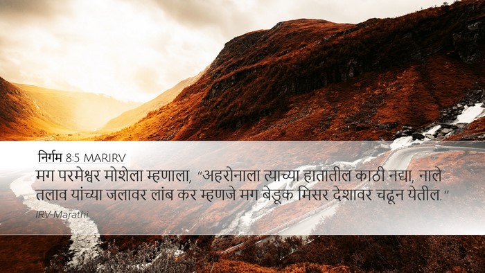 निर्गम 8:5 MARIRV Bible Verse Image