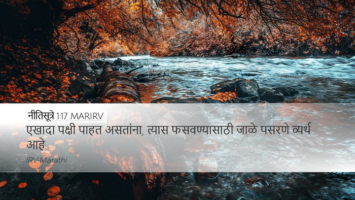 नीतिसूत्रे 1:17 MARIRV Bible Verse Image