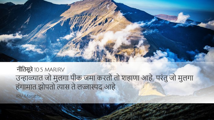 नीतिसूत्रे 10:5 MARIRV Bible Verse Image