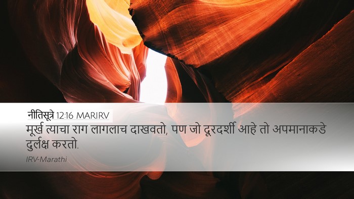 नीतिसूत्रे 12:16 MARIRV Bible Verse Image