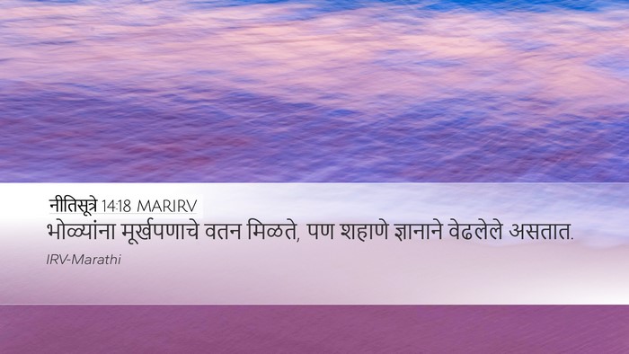 नीतिसूत्रे 14:18 MARIRV Bible Verse Image