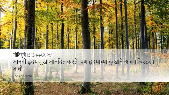 नीतिसूत्रे 15:13 MARIRV Bible Verse Image