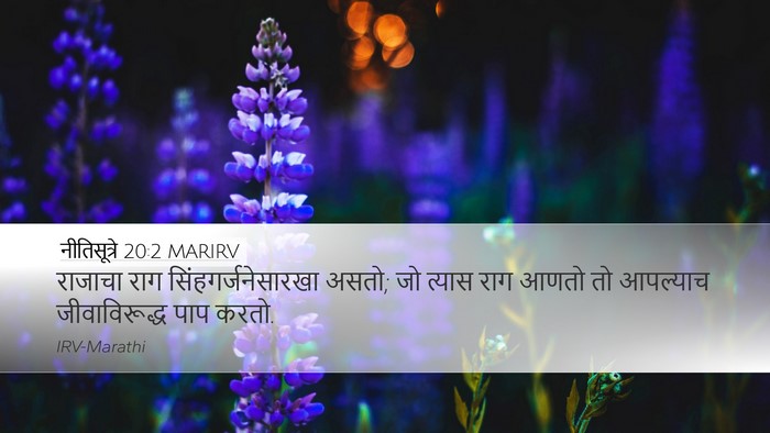 नीतिसूत्रे 20:2 MARIRV Bible Verse Image