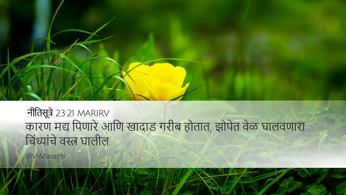 नीतिसूत्रे 23:21 MARIRV Bible Verse Image