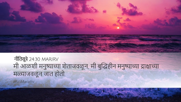 नीतिसूत्रे 24:30 MARIRV Bible Verse Image