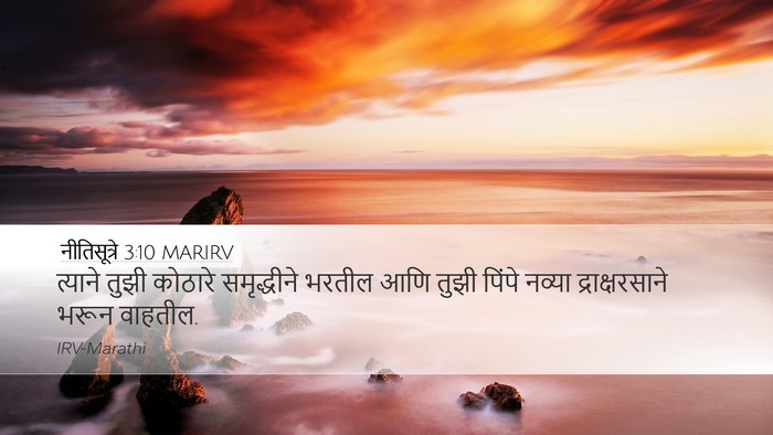 नीतिसूत्रे 3:10 MARIRV Desktop Wallpaper - त्याने तुझी - Desktop Bible Verse Wallpaper