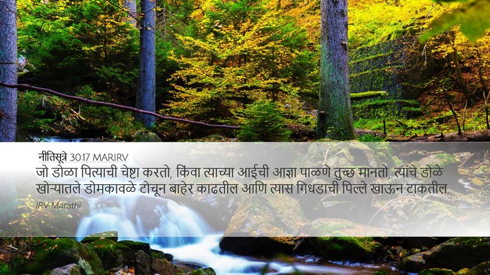 नीतिसूत्रे 30:17 MARIRV Bible Verse Image