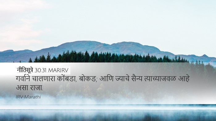 नीतिसूत्रे 30:31 MARIRV Bible Verse Image
