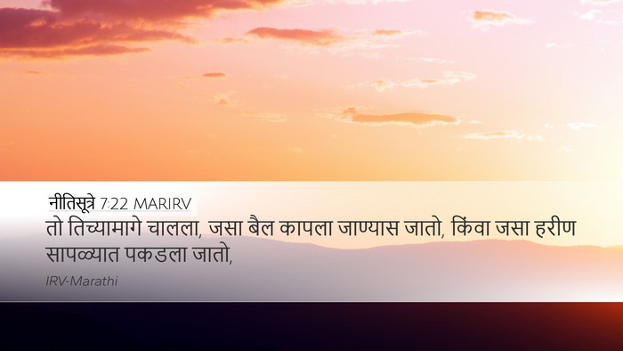 नीतिसूत्रे 7:22 MARIRV Bible Verse Image