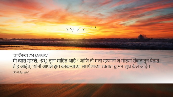 प्रकटीकरण 7:14 MARIRV Bible Verse Image
