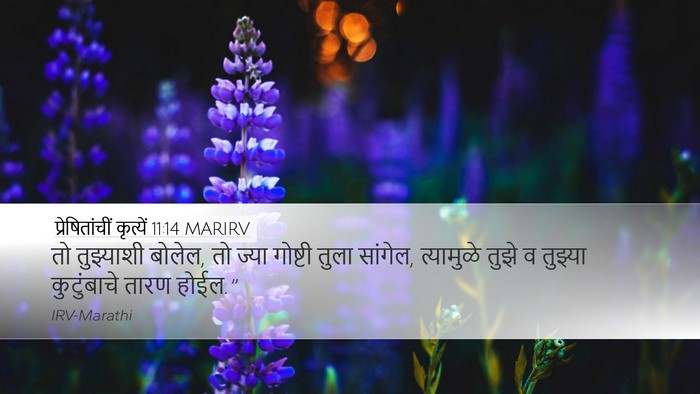 प्रेषितांचीं कृत्यें 11:14 MARIRV Bible Verse Image