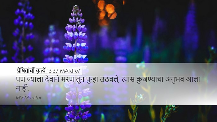 प्रेषितांचीं कृत्यें 13:37 MARIRV Bible Verse Image