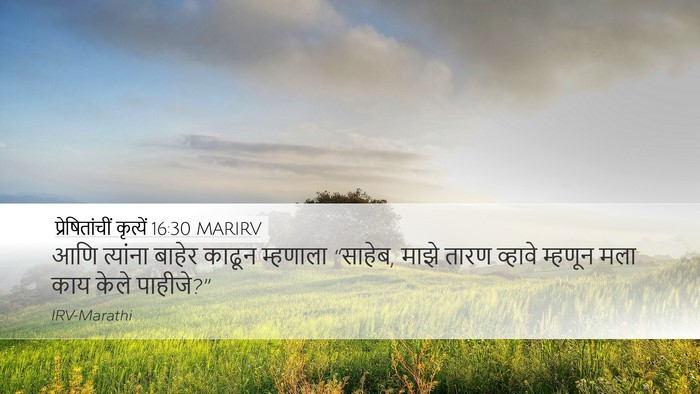 प्रेषितांचीं कृत्यें 16:30 MARIRV Bible Verse Image