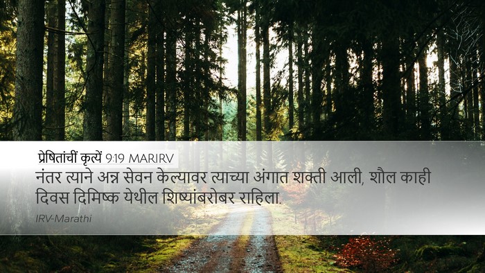 प्रेषितांचीं कृत्यें 9:19 MARIRV Bible Verse Image